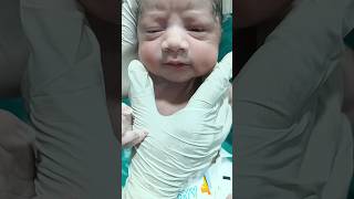 Little champion in the world shortsvideo cutebaby newbornarrival newbornbaby [upl. by Aleciram361]