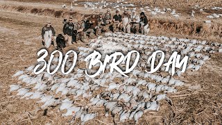 Snow Goose Hunting GIANT RAINOUTS 300 bird day [upl. by Jaclin]