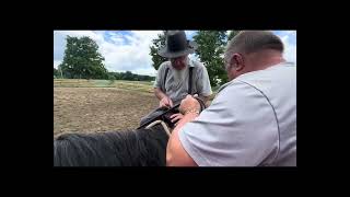 Rodrigo sells October 19th at The Horsemans Mission Millersburg OH Video 1 [upl. by Doerrer]