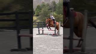 Clip from lesson with Sunday jumpinghorse equestrian newhorse horsemanship equestriantraining [upl. by Stout872]