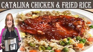 CROCKPOT CATALINA SWEET amp TANGY CHICKEN RECIPE  Fried Rice A Perfect Side Dish [upl. by Aikehs]