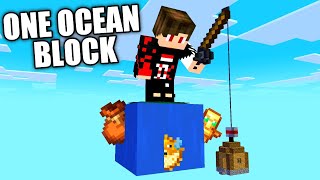 I Survived 100 Days on ONE OCEAN BLOCK in Hardcore Minecraft [upl. by Attenov268]