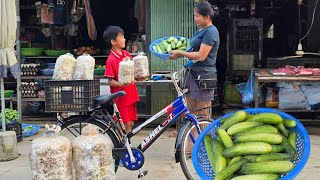 Harvest cucumbers in exchange for mushroom embryos for planting enjoy homemade grilled pork [upl. by Enileuqaj]