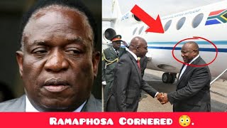 Change Venue Or Postpone Event  Ramaphosa Cornered 😳 [upl. by Camile]