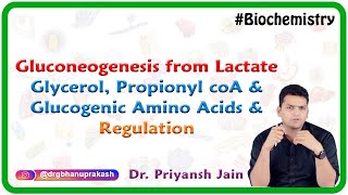 Gluconeogenesis from lactate glycerol propionyl coA and glucogenic amino acids and Regulation [upl. by Schilling]