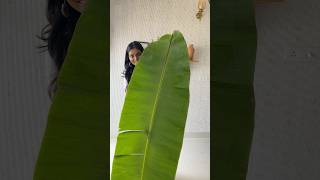 Grand looking bananaleaf toranam in 5 minutes for Diwali housewarmingdecor toranam toran [upl. by Kylen708]