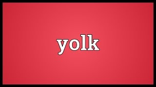 Yolk Meaning [upl. by Eciened]