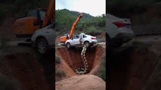 Excavator rescues car but unexpectedly there is a python clinging to the car excavator python [upl. by Arbuckle]