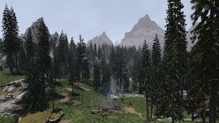 SKYRIM 3D TREES AND PLANTS  DYNDOLOD 3D ULTRA TREES  Skyrim SE 2019  Ultra Modded [upl. by Diogenes]