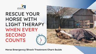 Rescue Your Horse with Light Therapy When Every Second Counts [upl. by Reinar]