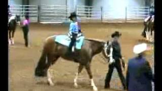 YA LEADLINE WALKTROTmp4 [upl. by Gilder]