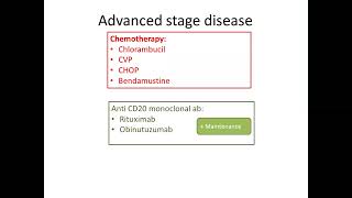 Follicular lymphoma 2 24 2 2023 [upl. by Akinirt]