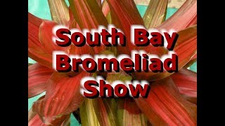 2018 Bromeliad Show at Rainforest Flora in Hawthorne CA [upl. by Pedroza980]