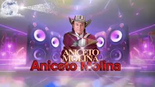 Aniceto Molina Mix [upl. by Thera]