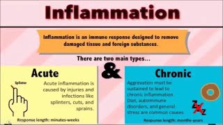 Inflammation lecture with pathophysiology [upl. by Baily]