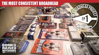 THE MOST CONSISTENT BROADHEAD [upl. by Luciano]