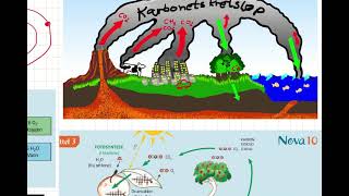 karbonkretsløpet forklart av Kristine [upl. by Adlemy37]