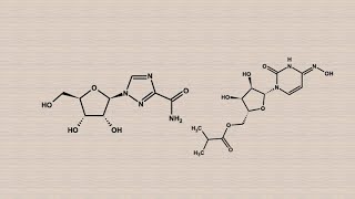 RibavirinaMolnupiravir antivirales síntesis introducción [upl. by Anceline]