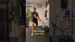 Split Stance Cable Lifts coreworkout stabilitytraining mobility [upl. by Norrahs209]