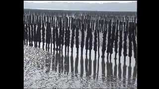 Voyage au cœur de la Baie de SaintBrieuc [upl. by Anaiad]