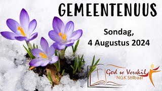 Gemeentenuus vir 4 Augustus 2024  Stilbaai NG Gemeente [upl. by Renard]