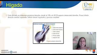 Tarea 2 Anatomía y Fisiología de Monogástricos [upl. by Esdnil346]