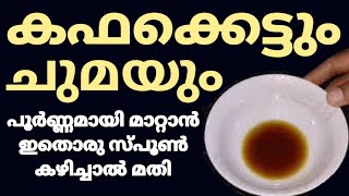 ചുമയും കഫക്കെട്ടും പൂർണ്ണമായും മാറാൻ ഒറ്റമൂലി  Home Remedy For Cough  Chuma Maran Malayalam [upl. by Lalage]