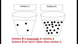 BIOL 1406 osmosis video 0001 [upl. by Irap]