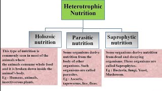 Heterotrophic nutrition and its types  Holozoic Parasitic and Saprophytic nutrition [upl. by Schreibe]