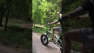 Fattire EBike Klapprad Palma von myvélo ✅ [upl. by Espy311]