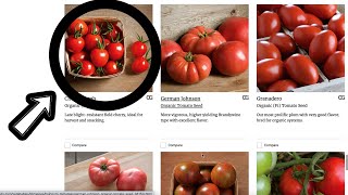 2023 TOMATO SEEDS  Choosing 4 Varieties from the Seed Catalog  Homestead Garden  Johnnys [upl. by Ahsiek]