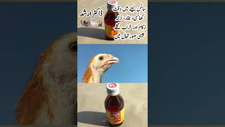 Catarrh Cough Labored breathing Cold Flu Sneezing and Fever Treatment in Poultry Birds [upl. by Augie]