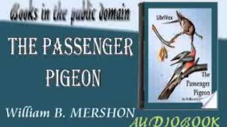 The Passenger Pigeon audiobook William B MERSHON [upl. by Nairoc]