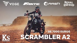 COMPARATIF DES SCRAMBLER A2 À MOINS DE 7000 € [upl. by Lemal]