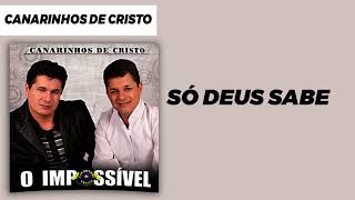 Canarinhos de Cristo  Só Deus Sabe  Álbum O Impossível [upl. by Becca]