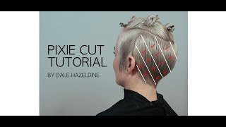 STEP BY STEP PIXIE CUT TUTORIAL  hair by DALE HAZELDINE [upl. by Lumbard336]