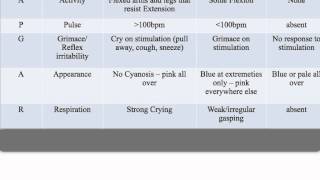 APGAR Score [upl. by Othilia]