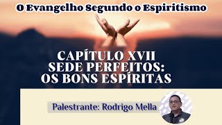 Os Bons Espíritas  Cap XVII Item 4 O Evangelho Segundo o Espiritismo Palestrante Rodrigo Mella [upl. by Westlund146]