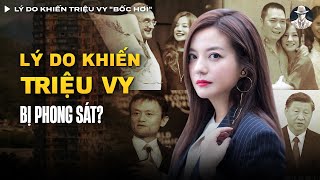 Lý Do Khiến Triệu Vy quotBốc Hơiquot Chỉ Sau 1 Đêm Là Gì  Vụ Án Có Thật [upl. by Robinet]