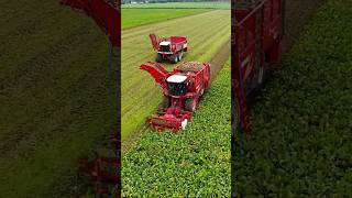 Vervaet Agrifac 😎😎 agriculture farming tractor landwirtschaft agro FlyingPixelsPhotography [upl. by Merriman]