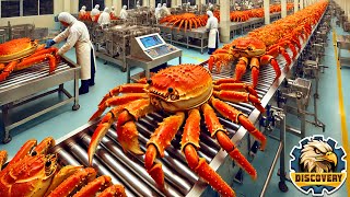 How King Crab Is Processed AMAZING King Crab Catching 🦀🦀 Captain Discovery [upl. by Orford126]