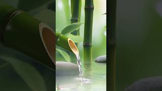 Relaxing Music Nature Sounds 40 relaxing meditationmusic relax watersounds bamboo sleepmusic [upl. by Silma]