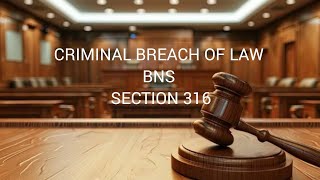 Criminal breach of trust  Section 316  According to BNS [upl. by Marteena]