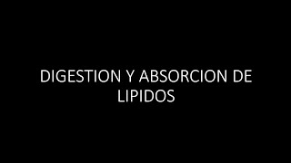 Digestion y Absorción de Lípidos [upl. by Chamberlin]