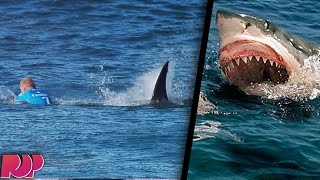 Horrific Shark Attack On Live Television VIDEO [upl. by Bealle]