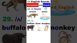 44 English Sounds 3  Consonants and Vowels [upl. by Elleirbag203]