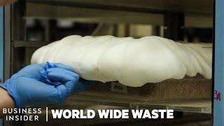 How Mushrooms Are Turned Into Bacon And Styrofoam  World Wide Waste [upl. by Nosirb]