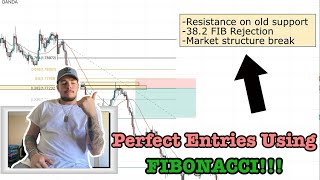 How To Get PERFECT Forex Entries Using FIBONACCI INSANE Mamba [upl. by Katie]