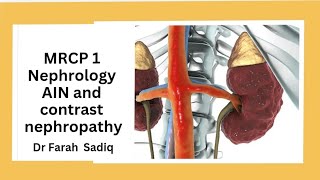 mrcP 1  nephrology acute interstitial nephropathy  contrast nephropathy [upl. by Joice341]