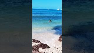 🏖 La Playa mas Secreta de Mallorca Spain 🇪🇸 beach playamallorca travel short [upl. by Aiepoissac670]